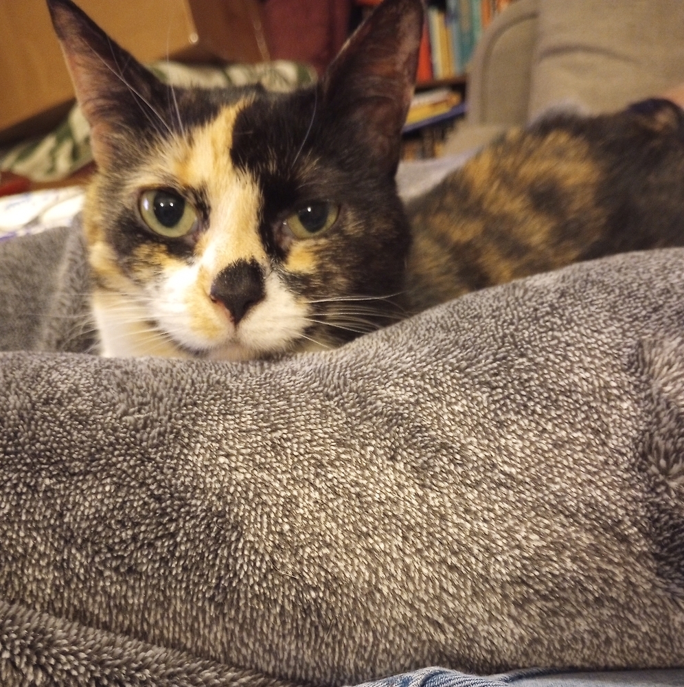 From Your Posher, Lisa